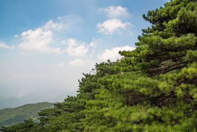大自然壁纸 自然壁纸 高清壁纸 山 天柱山 云 天 风景 景点
