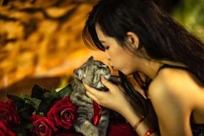 女孩 猫 吻 玫瑰 第二代 工作室 女士 越南