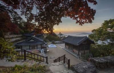 树 结构 宗教 天空 日出 云 秋天