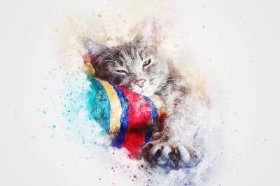 猫 基蒂 动物 艺术 抽象 水彩 优质的 丰富多彩的 宠物