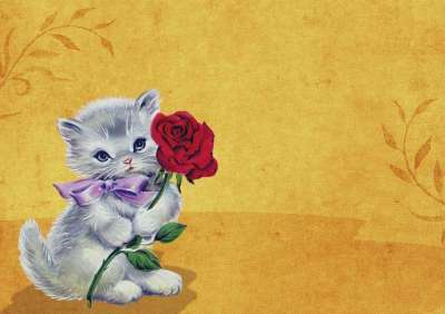 小猫 猫 玫瑰 背景图片 年份 老的 优质的 地图 祝贺