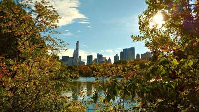 纽约 中央公园 纽约市 曼哈顿 公园 风景 天际线 摩天大楼