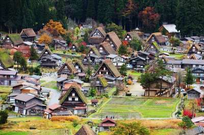 日本 金澤 白川鄉 建築物 合掌村 房子 树 户外 建筑 鸟瞰