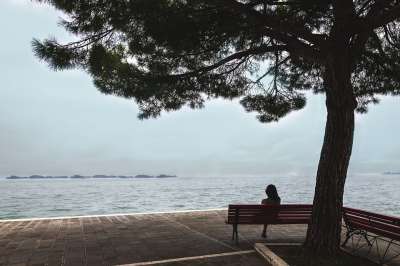 女士 长椅 海 树 人 思维 休息 松弛 闲暇 沉默的 公园
