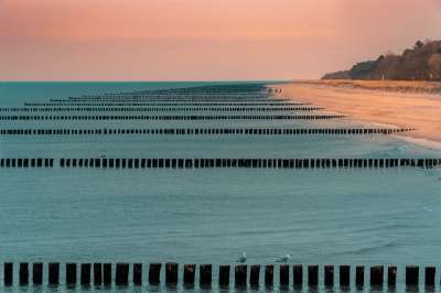 海滩 鸟类 岛 波罗的海 青斯特 菲施兰达斯 自然 景观 水