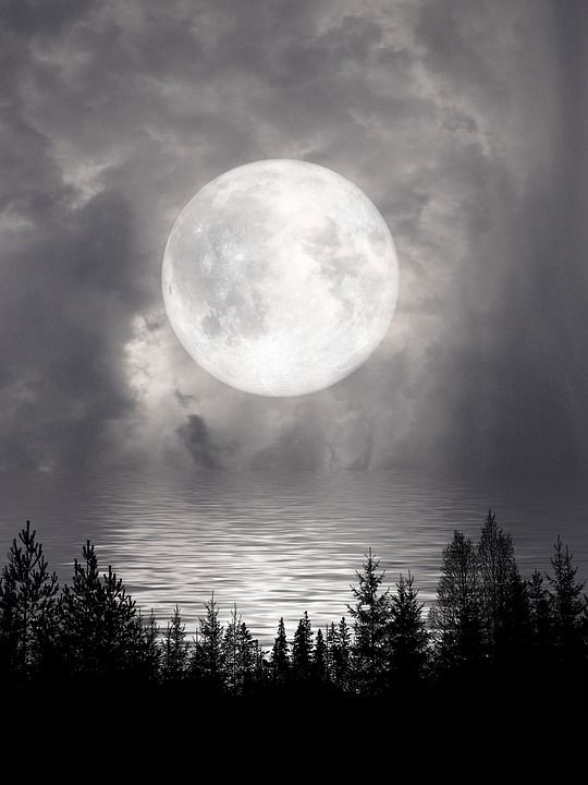 满月 湖 月光 夜空 反射 自然 夜晚 水 景观