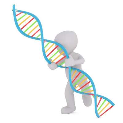 Dna 白人男性 3D 模型 孤立 3D 模型 全身 白色的
