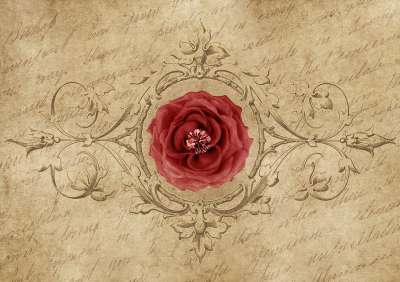 玫瑰 框架 钻石 写作 画画 红玫瑰 年份 时髦 剪贴簿 怀旧