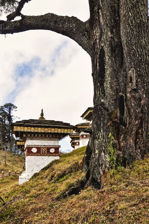 舍利塔 不丹 Druk Wangyal Chortens 佛教 廷布