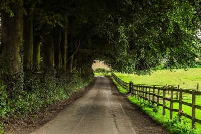 马路 农场 自然 英国 马路 马路 马路 马路 马路