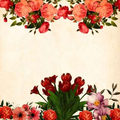 Instagram 徽标 花 背景 优质的 玫瑰 花束 花的 簇