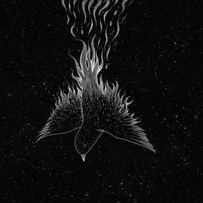 鸟 星星 翅膀 火焰 火 宇宙 繁星点点 星系 空间 夜晚