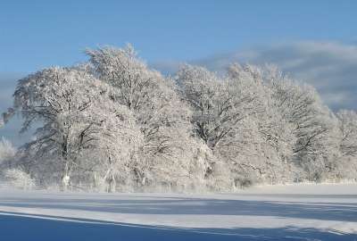 冬天 冬季景观 雪 寒冷的 冬季魔法 太阳 冬梦 蓝色的 阴凉处
