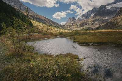 山 树木 森林 景观 针