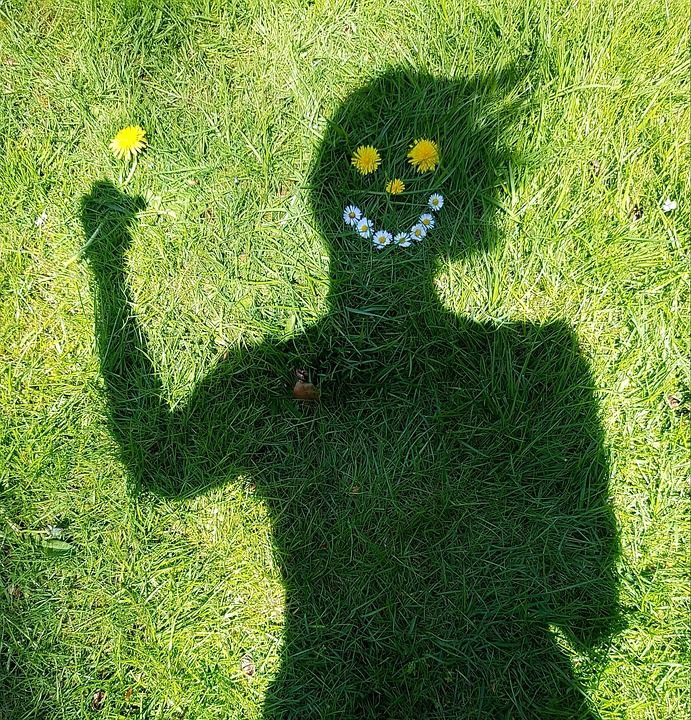 微笑 快乐的 幸福 蒲公英 绿色 雏菊 阴凉处 人的 夏天 草