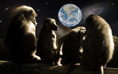 猴子星球 猴子 狒狒 宇宙 地球 外表 看电视 家庭 假期