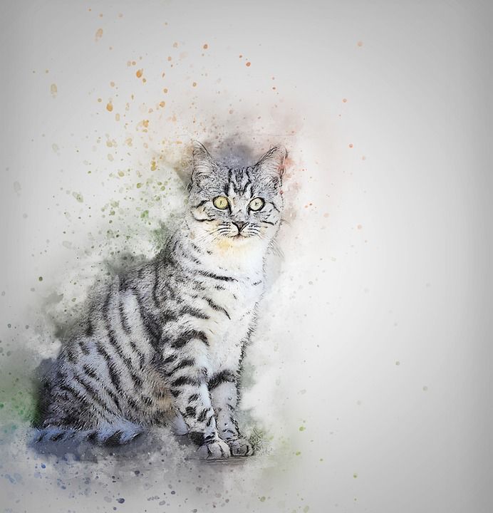 猫 宠物 白色的 艺术 抽象 优质的 水彩 艺术的 设计 T恤