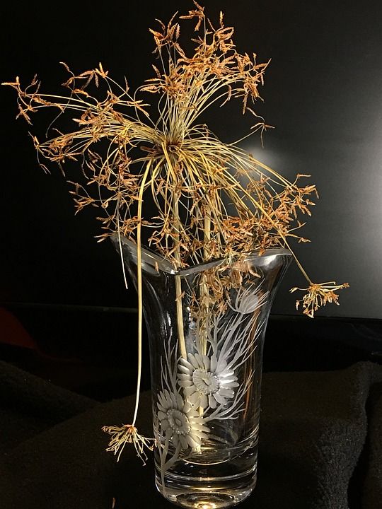 水晶 干燥植物 装饰风格 干叶子 工厂纸莎草纸 自然 植物 干燥