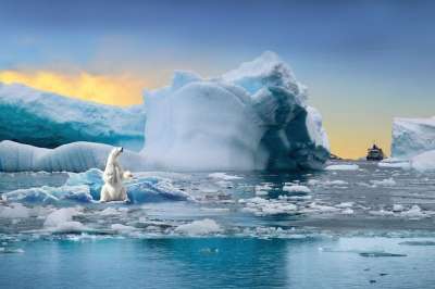 Pxclimateaction 天气 景观 北极熊 冰 雪 海