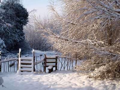 雪 冬天 景观 栅栏