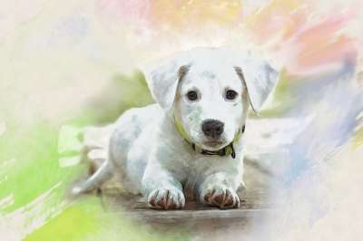 水彩 小狗 可爱的 动物 家犬 纵向 宠物 丰富多彩的