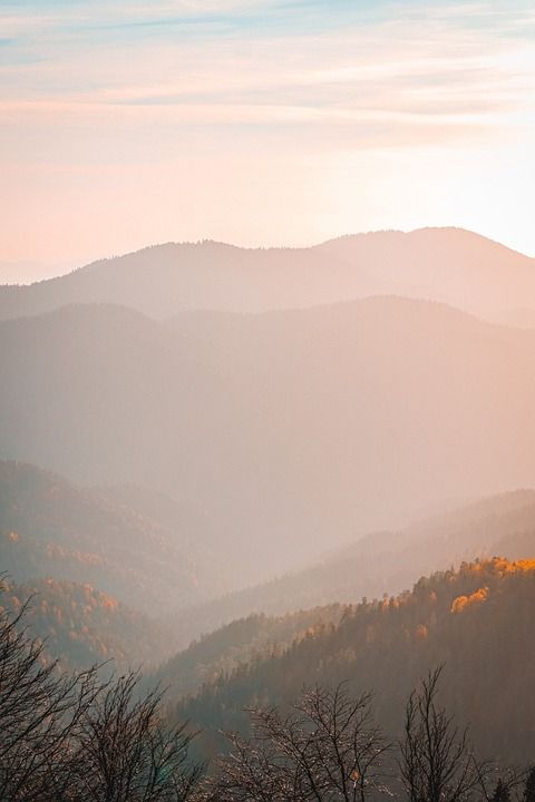 手机壁纸 山 树木 日落 多雾路段 森林 阳光 暮 晚上