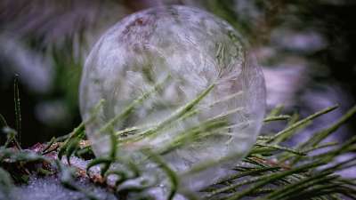 肥皂泡 冻结 冰淇淋 冬天 枞树 冰晶 泡沫 寒冷的 雪 子弹