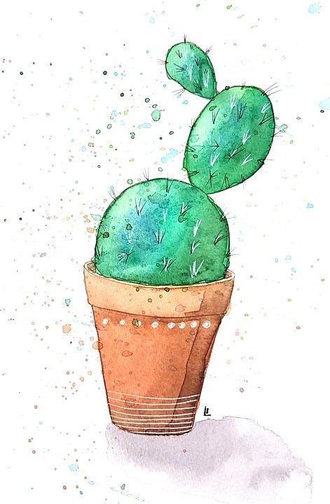 水彩 仙人掌 植物 画画 绿色 仙人掌 仙人掌 仙人掌 仙人掌