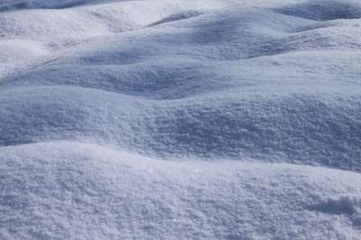 雪 冬天 降雪 下雪的 季节 假期 十二月 一月 波浪 暴风雪