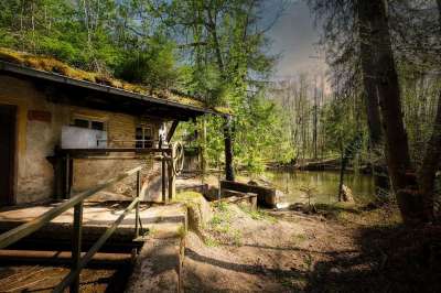 小屋 老的 森林 乡村的 房子 自然 建造 仿古 放弃了 木头
