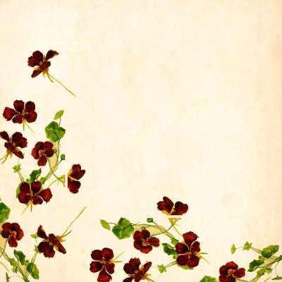 Instagram 徽标 花 背景 优质的 玫瑰 花束 花的 簇