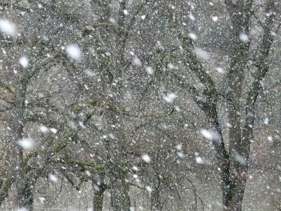 降雪 雪 雪花 暴风雪 冬天 薄片 冬梦 寒冷的 冰冷的
