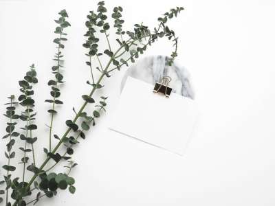 人造的 绿色 植物 叶子 纸夹 白色的