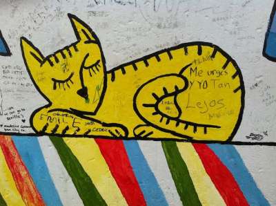 柏林 猫 涂鸦 墙 壁画 绘画 街头艺术 城市艺术 绘 柏林墙