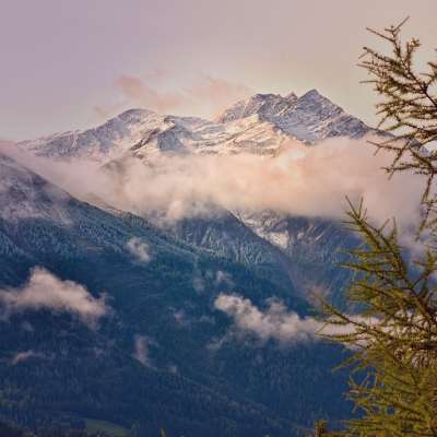 山 杉木树 高山 山脉 山区 山地景观 阿尔卑斯山 云 景观