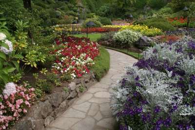 布图 植物园 布查特花园 花园 踪迹 小路 花朵 走 漫步