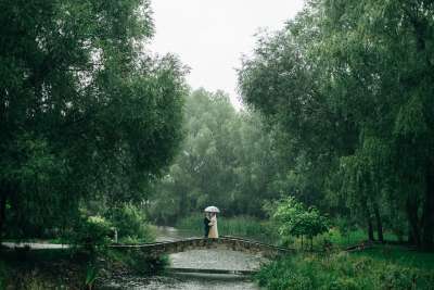 公园 雨 婚礼 夫妻 婚礼当天 自然 婚纱摄影 下雨 树木