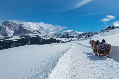 雪 教练 马车 马匹 冬天 旅行 马 运输 冬季景观 冬季