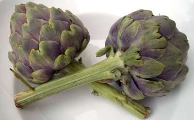 朝鲜蓟 蔬菜 绿色 厨师