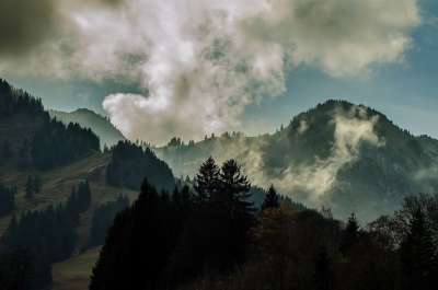 11 月 情绪 严峻 景观 云 多雾路段 山 树 针叶树