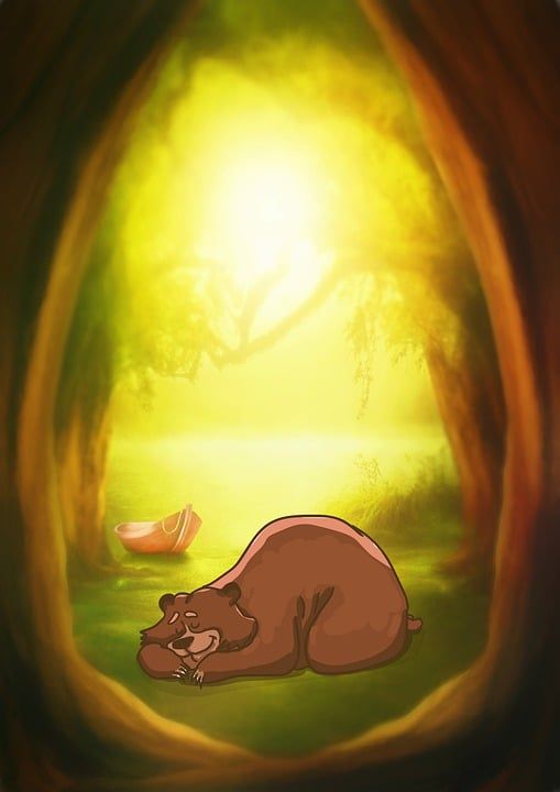 幻想 森林 熊 树木 夏天 睡觉 安静的 背景 照明心情 漫画
