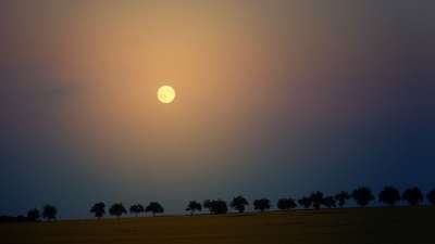 月亮 夜晚 树木 大街 天堂 月出 前夕 黄昏 景观 自然