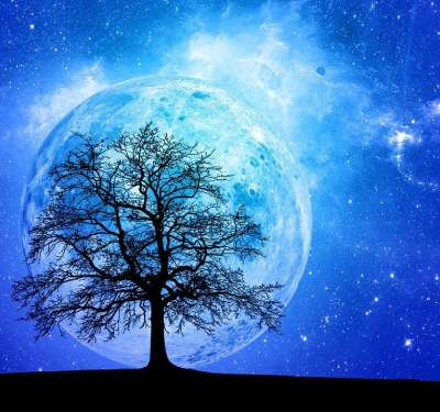 蓝色的 空间 树 科幻 幻想 星云 天空 景观 轮廓 地球
