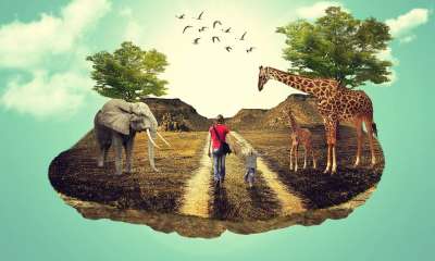 Landscapedesign Photomanipulations