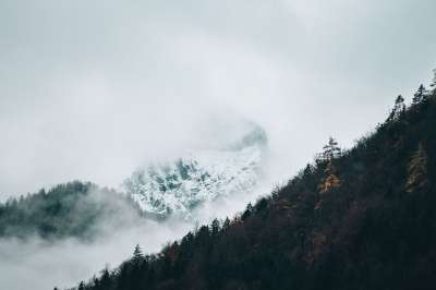 山 首脑 森林 冬天 云 多雾路段 树木 阿尔卑斯山 自然