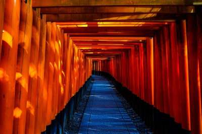 日本 寺庙 结构 隧道 门厅 在室内 通道 光 门 宗教