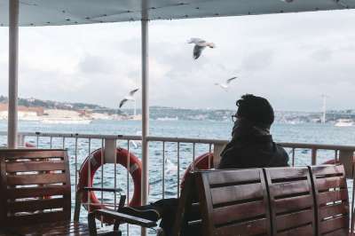 海鸥 男人 海 自然 水 鸟 海滩 天空 海岸 沙 徒步旅行