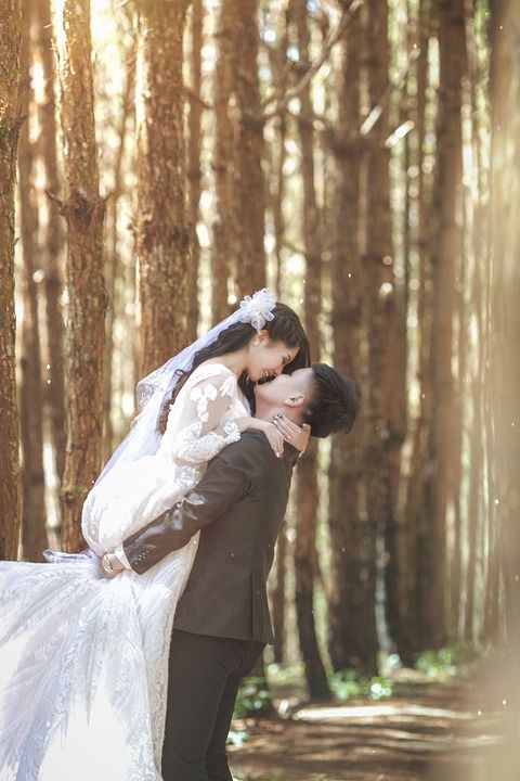 婚礼 婚纱摄影 婚礼的照片 棕色的婚礼 棕色的摄影