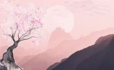 景观 自然 树 墙纸的女孩 自然 自然 自然 自然 树 树
