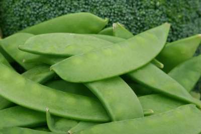 豆类 食物 新鲜的 绿色 健康 叶子 有天赋的人 豌豆 蔬菜
